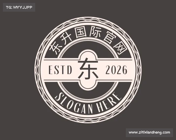 关于东升国际官网